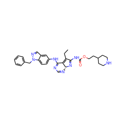 CCC1=C2C(Nc3ccc4c(cnn4Cc4ccccc4)c3)=NC=N[C@H]2N=C1NC(=O)OCCC1CCNCC1 ZINC000049710324