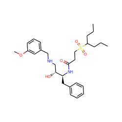 CCCC(CCC)S(=O)(=O)CCC(=O)N[C@@H](Cc1ccccc1)[C@H](O)CNCc1cccc(OC)c1 ZINC000028968588