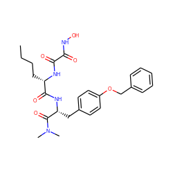 CCCC[C@H](NC(=O)C(=O)NO)C(=O)N[C@H](Cc1ccc(OCc2ccccc2)cc1)C(=O)N(C)C ZINC000013439885