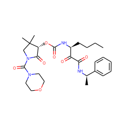 CCCC[C@H](NC(=O)O[C@@H]1C(=O)N(C(=O)N2CCOCC2)CC1(C)C)C(=O)C(=O)N[C@H](C)c1ccccc1 ZINC000028572430