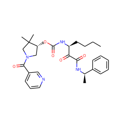 CCCC[C@H](NC(=O)O[C@@H]1CN(C(=O)c2cccnc2)CC1(C)C)C(=O)C(=O)N[C@H](C)c1ccccc1 ZINC000049067085