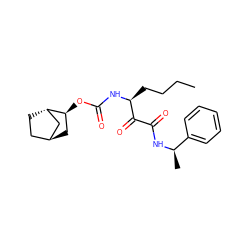 CCCC[C@H](NC(=O)O[C@H]1C[C@H]2CC[C@H]1C2)C(=O)C(=O)N[C@H](C)c1ccccc1 ZINC000253638196