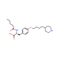 CCCCC(=O)N[C@@H](Cc1ccc(OCCCCC2CCNCC2)cc1)C(=O)O ZINC000013738122