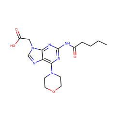 CCCCC(=O)Nc1nc(N2CCOCC2)c2ncn(CC(=O)O)c2n1 ZINC000066077773