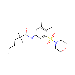 CCCCC(C)(C)C(=O)Nc1cc(C)c(C)c(S(=O)(=O)N2CCOCC2)c1 ZINC000045347541