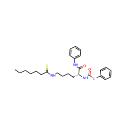 CCCCCCC(=S)NCCCC[C@@H](NC(=O)Oc1ccccc1)C(=O)Nc1ccccc1 ZINC001772608110