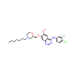 CCCCCCCN1CCO[C@@H](COc2cc3ncnc(Nc4ccc(Cl)c(Cl)c4)c3cc2OC)C1 ZINC000114824722