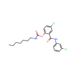 CCCCCCCNC(=O)Oc1ccc(Cl)cc1C(=O)Nc1cccc(Cl)c1 ZINC000049766847