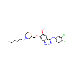 CCCCCCN1CCO[C@@H](COc2cc3ncnc(Nc4ccc(Cl)c(Cl)c4)c3cc2OC)C1 ZINC000114820634