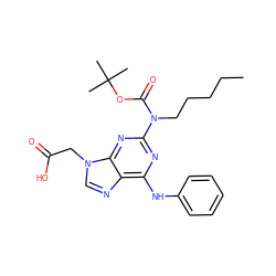 CCCCCN(C(=O)OC(C)(C)C)c1nc(Nc2ccccc2)c2ncn(CC(=O)O)c2n1 ZINC000066078144