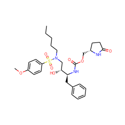 CCCCCN(C[C@@H](O)[C@H](Cc1ccccc1)NC(=O)OC[C@@H]1CCC(=O)N1)S(=O)(=O)c1ccc(OC)cc1 ZINC000095553124