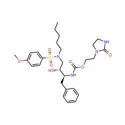 CCCCCN(C[C@@H](O)[C@H](Cc1ccccc1)NC(=O)OCCN1CCNC1=O)S(=O)(=O)c1ccc(OC)cc1 ZINC000095552845