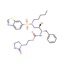 CCCCCN(C[C@@H](O)[C@H](Cc1ccccc1)NC(=O)OCCN1CCNC1=O)S(=O)(=O)c1ccc2ncsc2c1 ZINC000095552194