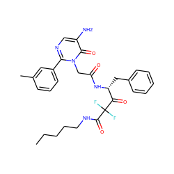 CCCCCNC(=O)C(F)(F)C(=O)[C@@H](Cc1ccccc1)NC(=O)Cn1c(-c2cccc(C)c2)ncc(N)c1=O ZINC000028756307