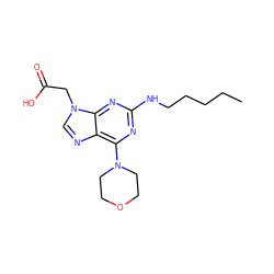 CCCCCNc1nc(N2CCOCC2)c2ncn(CC(=O)O)c2n1 ZINC000066103870