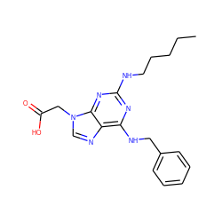 CCCCCNc1nc(NCc2ccccc2)c2ncn(CC(=O)O)c2n1 ZINC000066100314