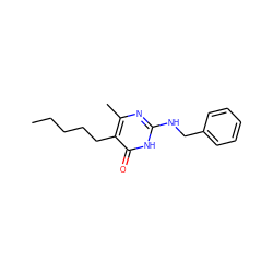 CCCCCc1c(C)nc(NCc2ccccc2)[nH]c1=O ZINC000008673176