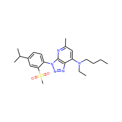 CCCCN(CC)c1cc(C)nc2c1nnn2-c1ccc(C(C)C)cc1S(C)(=O)=O ZINC000013795068