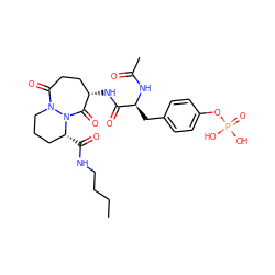 CCCCNC(=O)[C@@H]1CCCN2C(=O)CC[C@H](NC(=O)[C@H](Cc3ccc(OP(=O)(O)O)cc3)NC(C)=O)C(=O)N12 ZINC000028768127