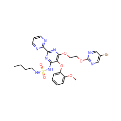 CCCCNS(=O)(=O)Nc1nc(-c2ncccn2)nc(OCCOc2ncc(Br)cn2)c1Oc1ccccc1OC ZINC000095556084