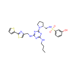 CCCCNc1nc(NCc2csc(-c3cccs3)n2)nc(N2CCC[C@@H]2CNS(=O)(=O)c2cccc(O)c2)n1 ZINC000095553167