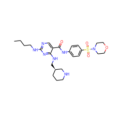 CCCCNc1ncc(C(=O)Nc2ccc(S(=O)(=O)N3CCOCC3)cc2)c(NC[C@@H]2CCCNC2)n1 ZINC000103257257