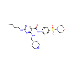 CCCCNc1ncc(C(=O)Nc2ccc(S(=O)(=O)N3CCOCC3)cc2)c(NCC2CCNCC2)n1 ZINC000103257254