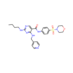 CCCCNc1ncc(C(=O)Nc2ccc(S(=O)(=O)N3CCOCC3)cc2)c(NCc2ccncc2)n1 ZINC000103257269