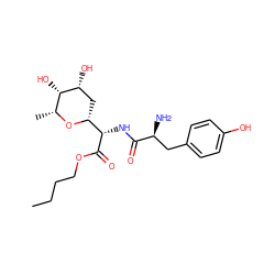 CCCCOC(=O)[C@@H](NC(=O)[C@@H](N)Cc1ccc(O)cc1)[C@H]1C[C@@H](O)[C@@H](O)[C@@H](C)O1 ZINC000027764716
