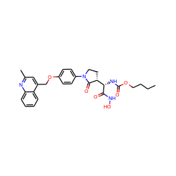 CCCCOC(=O)N[C@H](C(=O)NO)[C@H]1CCN(c2ccc(OCc3cc(C)nc4ccccc34)cc2)C1=O ZINC000013490348