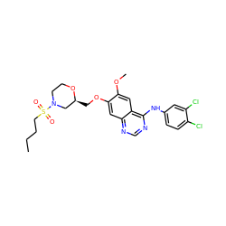 CCCCS(=O)(=O)N1CCO[C@@H](COc2cc3ncnc(Nc4ccc(Cl)c(Cl)c4)c3cc2OC)C1 ZINC000114820727