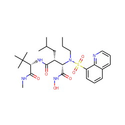 CCCN([C@H](C(=O)NO)[C@@H](CC(C)C)C(=O)N[C@H](C(=O)NC)C(C)(C)C)S(=O)(=O)c1cccc2cccnc12 ZINC000027552085