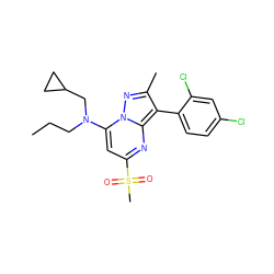 CCCN(CC1CC1)c1cc(S(C)(=O)=O)nc2c(-c3ccc(Cl)cc3Cl)c(C)nn12 ZINC000027190999