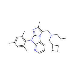 CCCN(Cc1c(C)nc2n(-c3c(C)cc(C)cc3C)c3ncccc3n12)CC1CCC1 ZINC000000595374