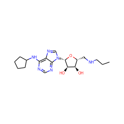 CCCNC[C@H]1O[C@@H](n2cnc3c(NC4CCCC4)ncnc32)[C@H](O)[C@@H]1O ZINC000013776785