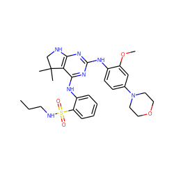 CCCNS(=O)(=O)c1ccccc1Nc1nc(Nc2ccc(N3CCOCC3)cc2OC)nc2c1C(C)(C)CN2 ZINC000221667081