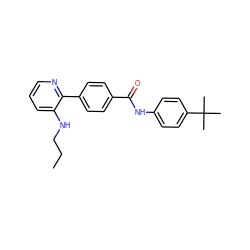 CCCNc1cccnc1-c1ccc(C(=O)Nc2ccc(C(C)(C)C)cc2)cc1 ZINC000038149553