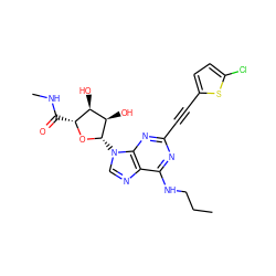 CCCNc1nc(C#Cc2ccc(Cl)s2)nc2c1ncn2[C@@H]1O[C@H](C(=O)NC)[C@@H](O)[C@H]1O ZINC001772646284