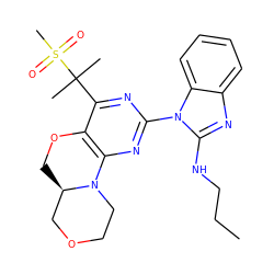 CCCNc1nc2ccccc2n1-c1nc2c(c(C(C)(C)S(C)(=O)=O)n1)OC[C@@H]1COCCN21 ZINC000221370949