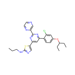 CCCNc1ncc(-c2cc(-c3ccc(OC(CC)CC)cc3Cl)nc(-c3cnccn3)n2)s1 ZINC000084713887