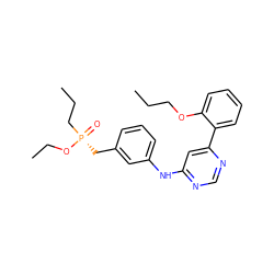 CCCOc1ccccc1-c1cc(Nc2cccc(C[P@@](=O)(CCC)OCC)c2)ncn1 ZINC000169346843