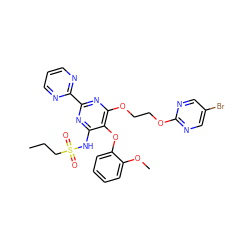 CCCS(=O)(=O)Nc1nc(-c2ncccn2)nc(OCCOc2ncc(Br)cn2)c1Oc1ccccc1OC ZINC000095556792