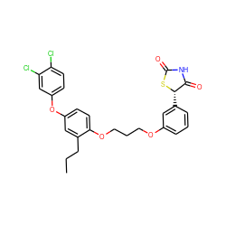 CCCc1cc(Oc2ccc(Cl)c(Cl)c2)ccc1OCCCOc1cccc([C@@H]2SC(=O)NC2=O)c1 ZINC000003917652