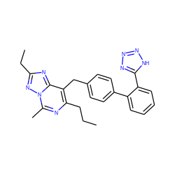 CCCc1nc(C)n2nc(CC)nc2c1Cc1ccc(-c2ccccc2-c2nnn[nH]2)cc1 ZINC000013737990