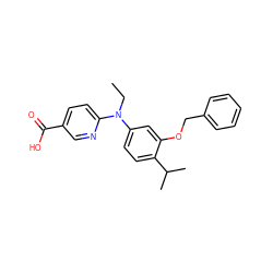 CCN(c1ccc(C(C)C)c(OCc2ccccc2)c1)c1ccc(C(=O)O)cn1 ZINC000066112571