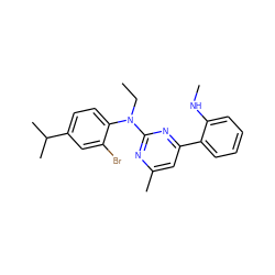 CCN(c1nc(C)cc(-c2ccccc2NC)n1)c1ccc(C(C)C)cc1Br ZINC000026003257