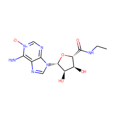 CCNC(=O)[C@H]1O[C@@H](n2cnc3c(N)[n+]([O-])cnc32)[C@H](O)[C@@H]1O ZINC000012405555