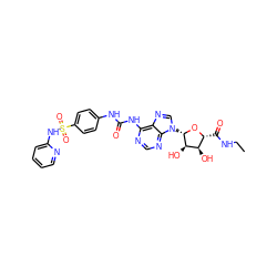 CCNC(=O)[C@H]1O[C@@H](n2cnc3c(NC(=O)Nc4ccc(S(=O)(=O)Nc5ccccn5)cc4)ncnc32)[C@H](O)[C@@H]1O ZINC000028569721