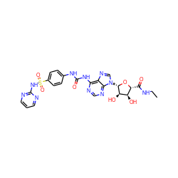 CCNC(=O)[C@H]1O[C@@H](n2cnc3c(NC(=O)Nc4ccc(S(=O)(=O)Nc5ncccn5)cc4)ncnc32)[C@H](O)[C@@H]1O ZINC000028571661