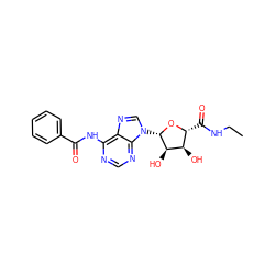 CCNC(=O)[C@H]1O[C@@H](n2cnc3c(NC(=O)c4ccccc4)ncnc32)[C@H](O)[C@@H]1O ZINC000013780802